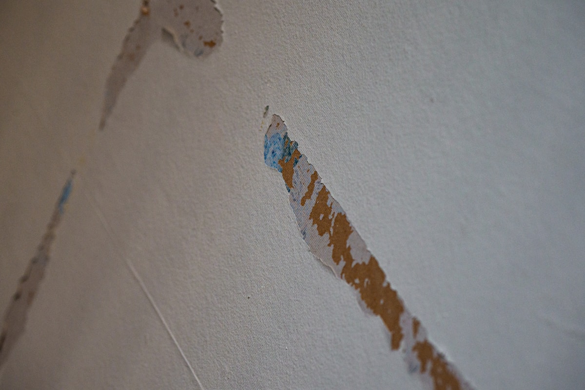 Mold Remediation service in Oxnard, CA